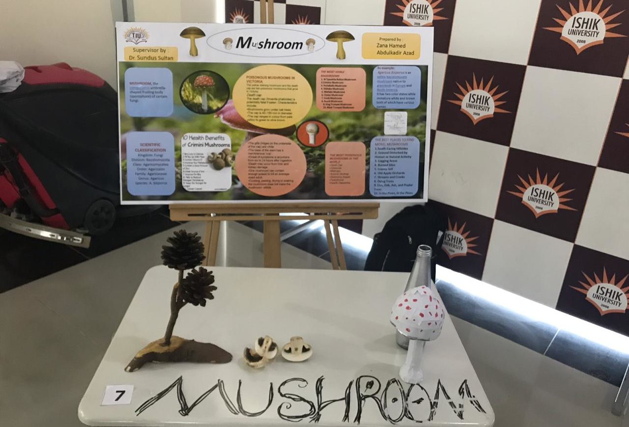 Tishk International University | Biology Education Department