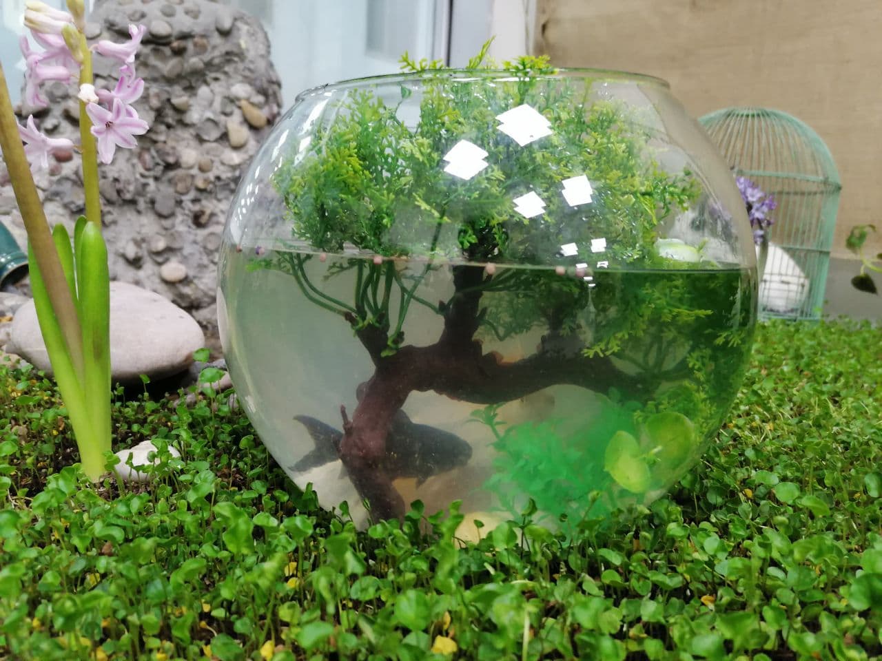 Tishk International University | Biology Education Department