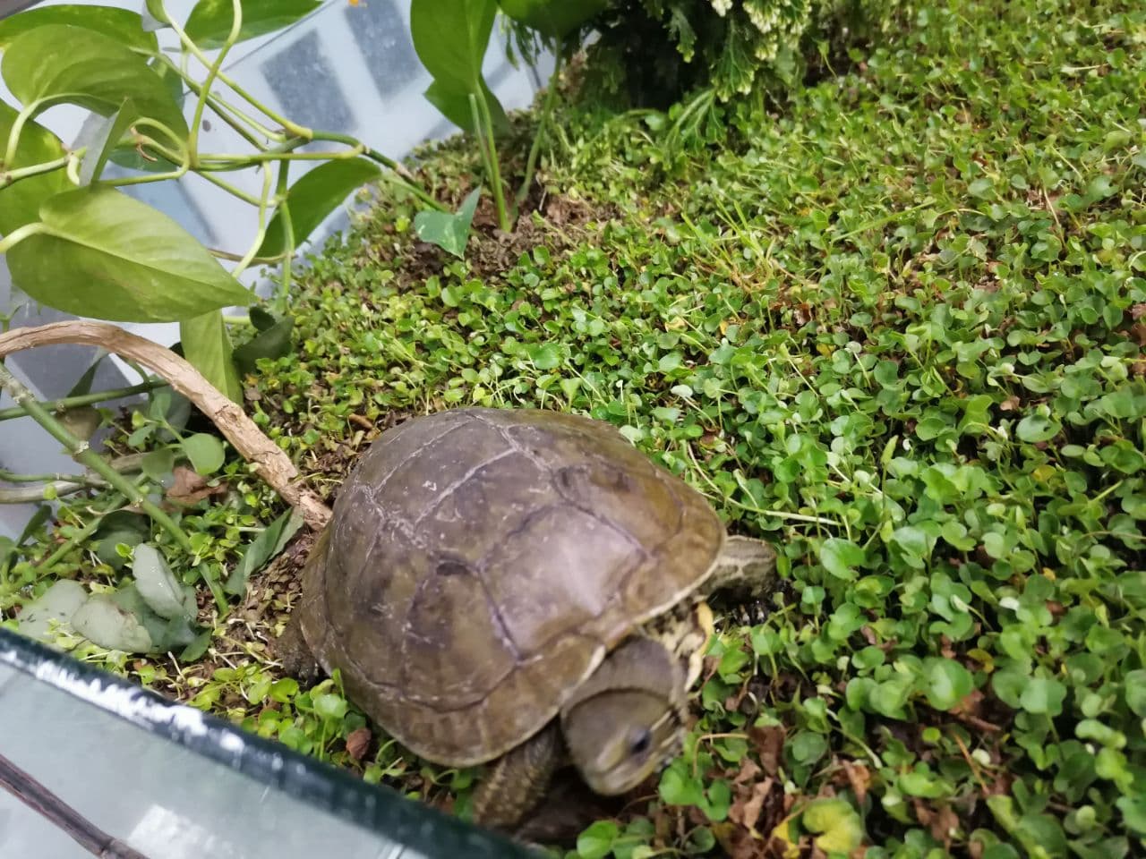 Tishk International University | Biology Education Department