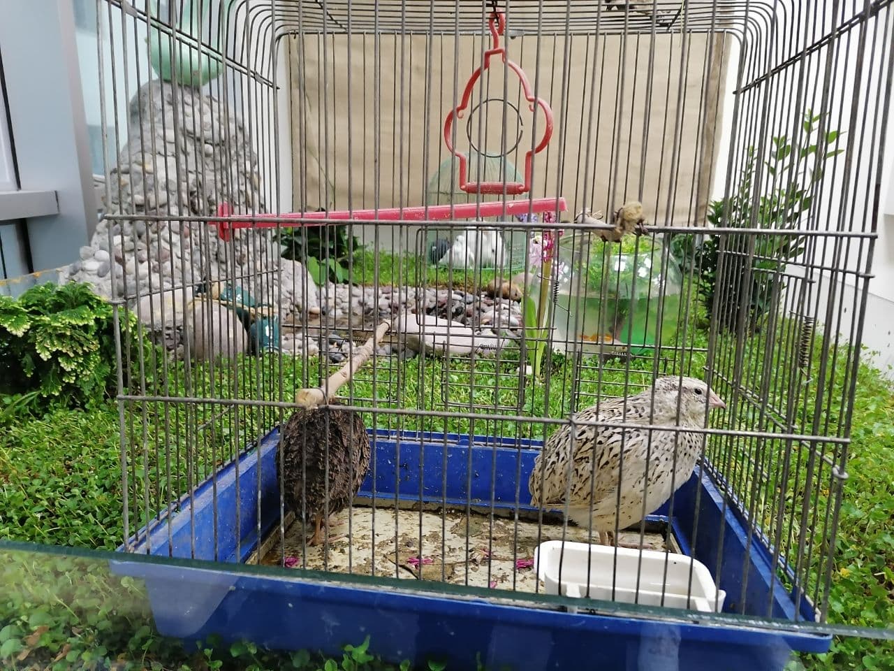 Tishk International University | Biology Education Department