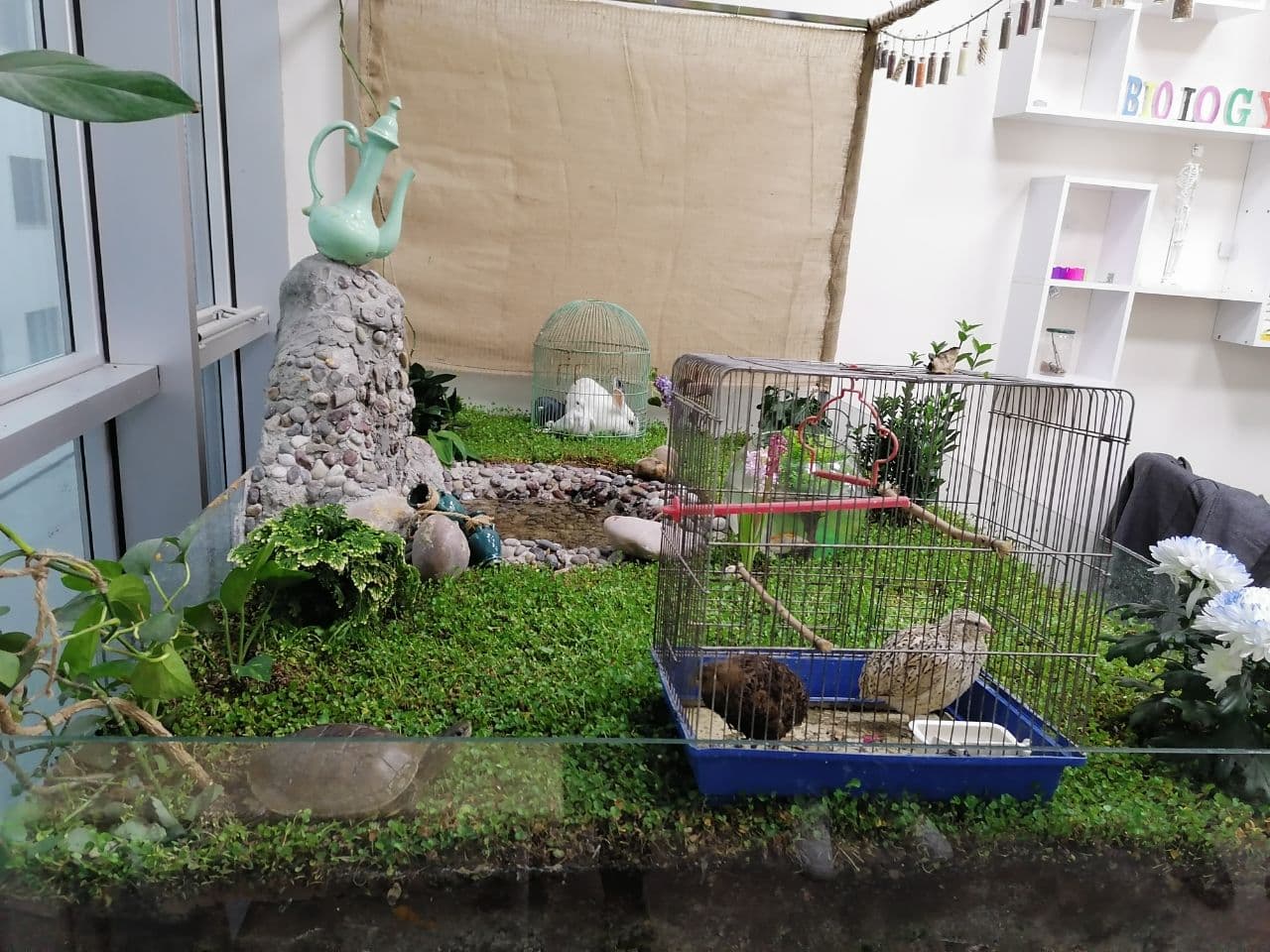 Tishk International University | Biology Education Department