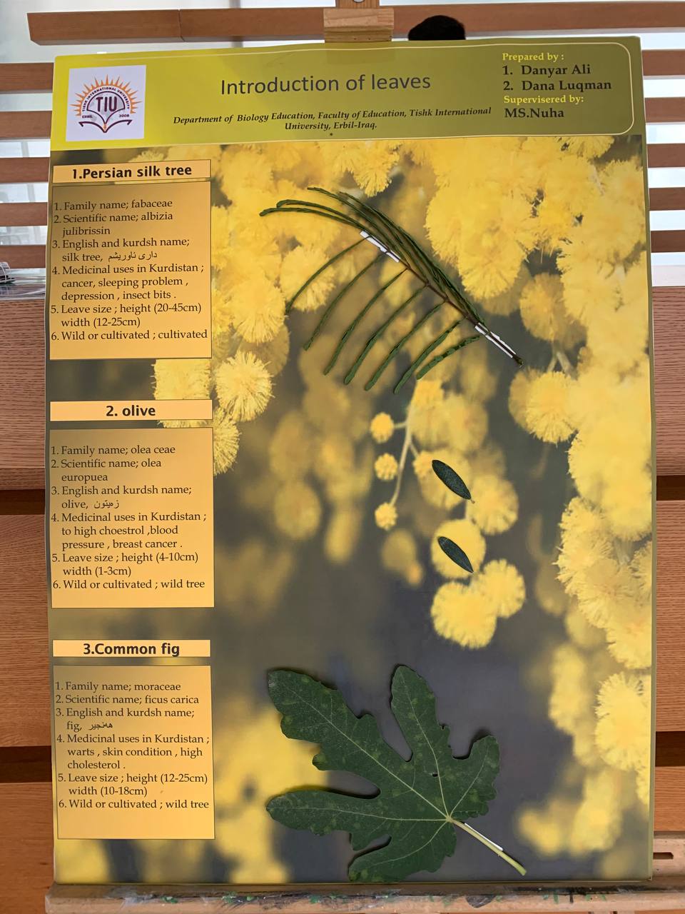 Tishk International University | Biology Education Department