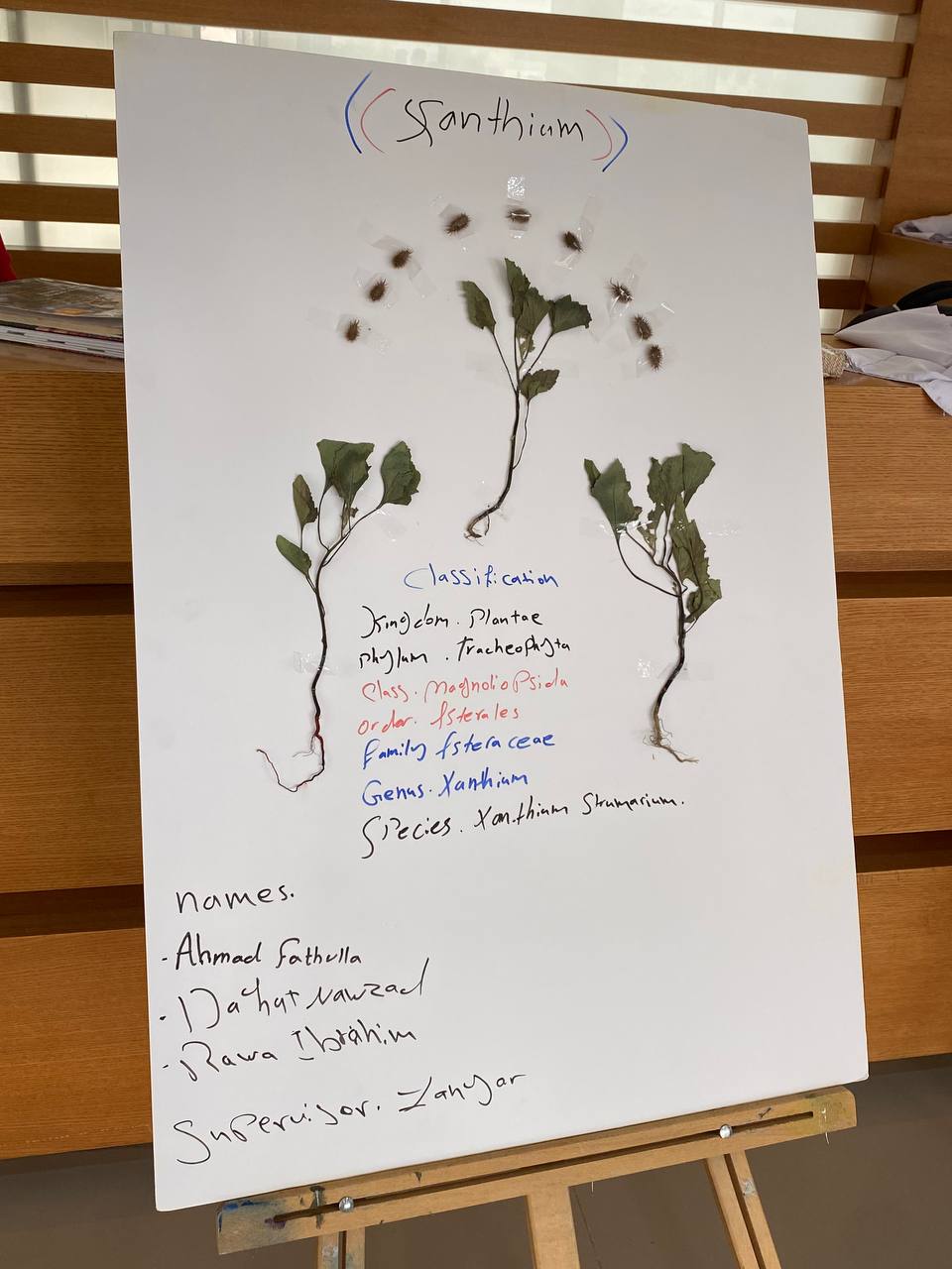 Tishk International University | Biology Education Department