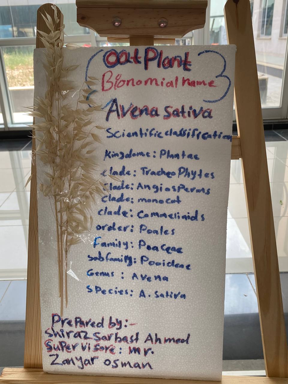 Tishk International University | Biology Education Department