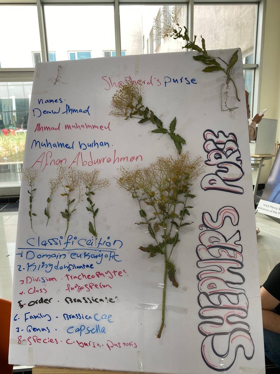 Tishk International University | Biology Education Department