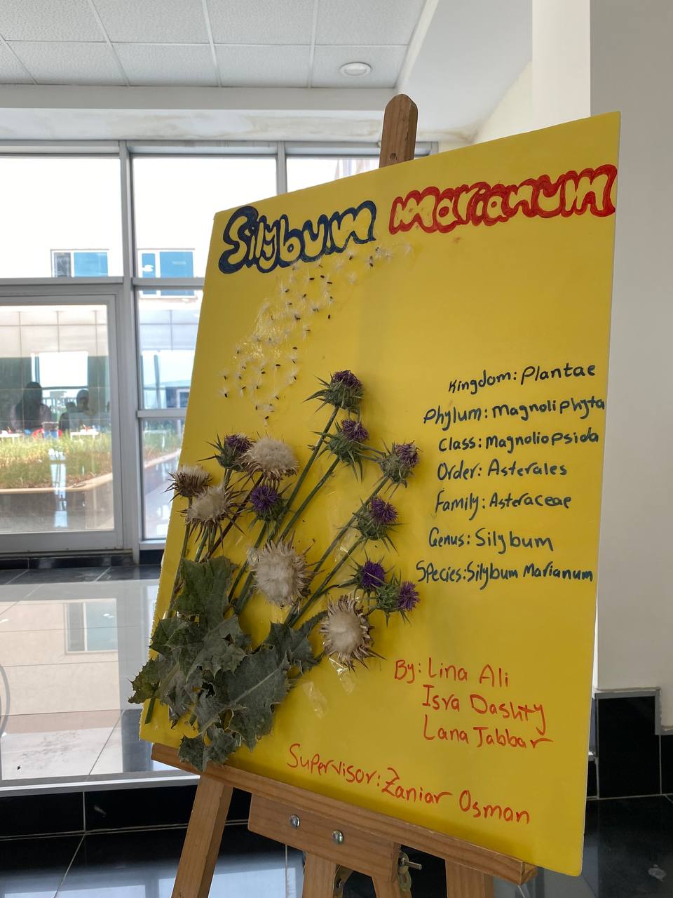 Tishk International University | Biology Education Department