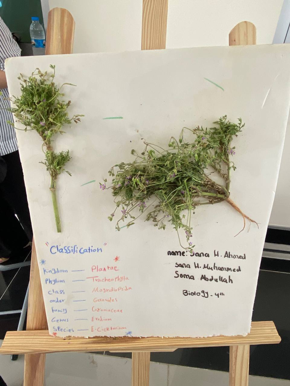 Tishk International University | Biology Education Department