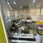 A Fascinating Tour into the World of Invertebrates at Salahaddin University's College of Science