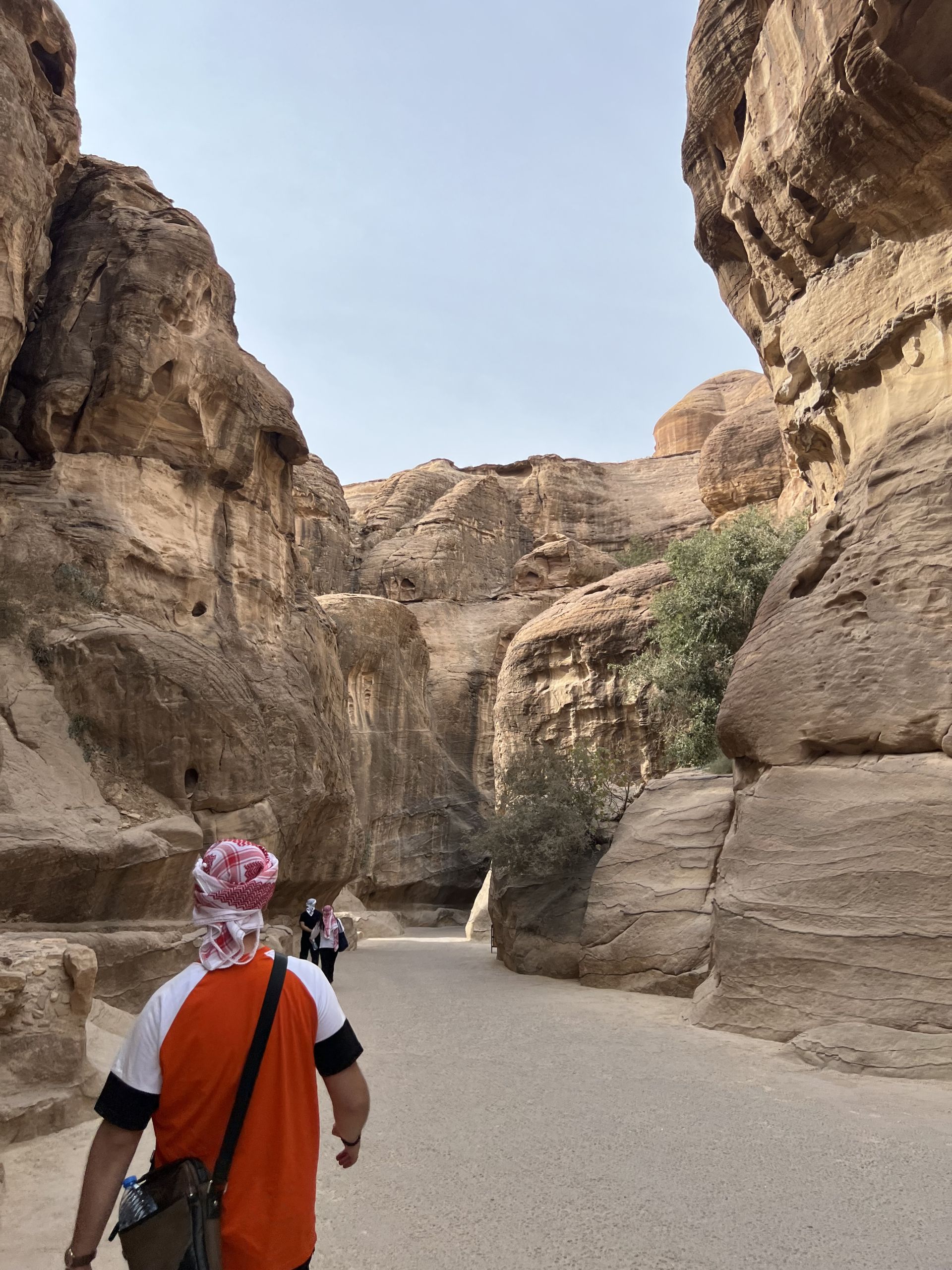 Tishk International University | computer-education Department