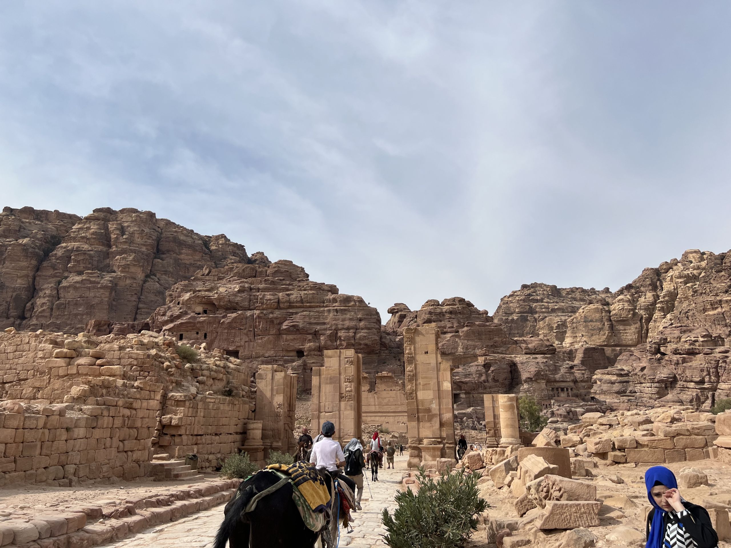 Tishk International University | computer-education Department