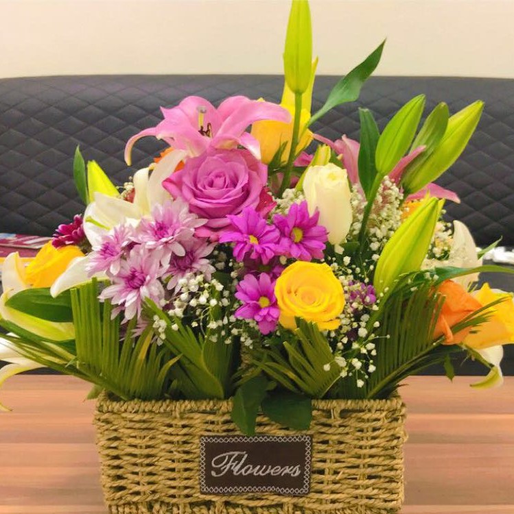 Tishk International University | Math Education Department