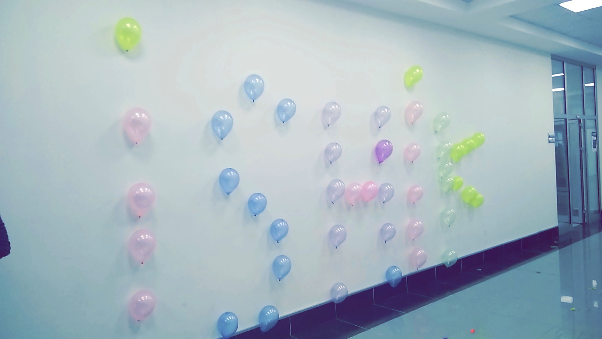 Tishk International University | physic Education Department