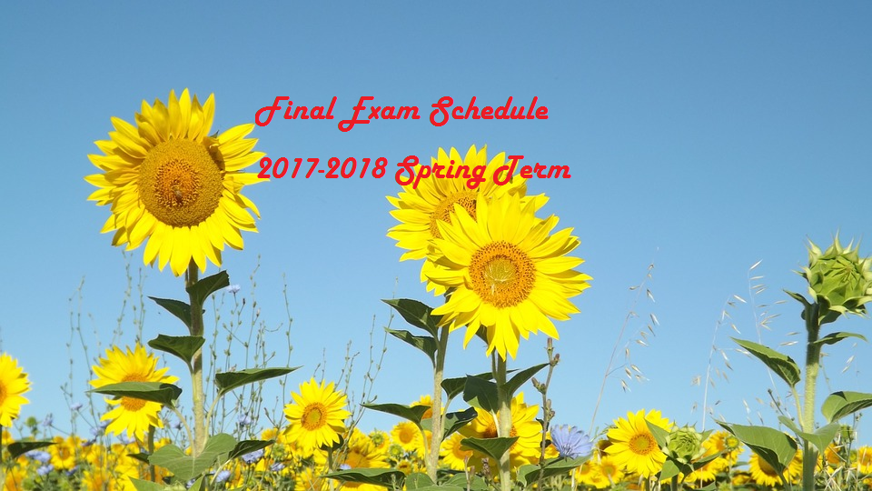 Tishk International University | physic Education Department