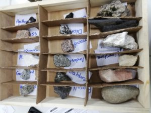 Tishk International University | physic Education Department