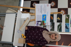 Tishk International University | physic Education Department