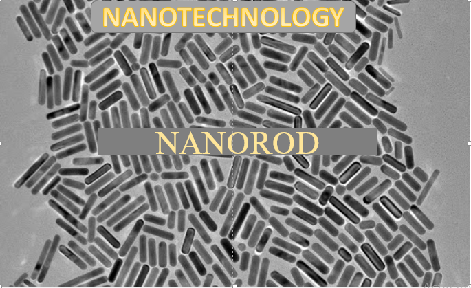 Tishk International University | physic Education Department